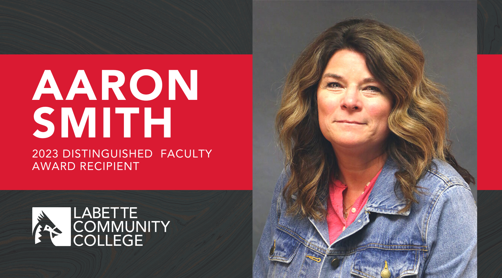 Distinguished Faculty Award