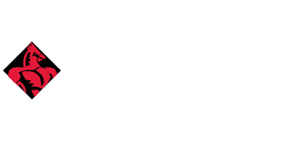 LCC Logo