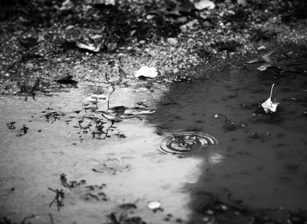Bree Maxwell Photography