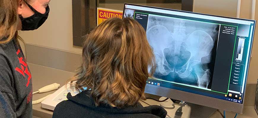 Radiologic Technology