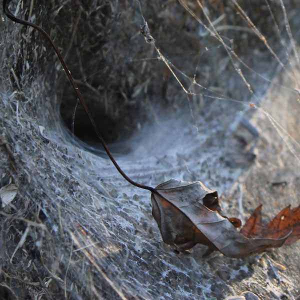 Best in Digital Photography