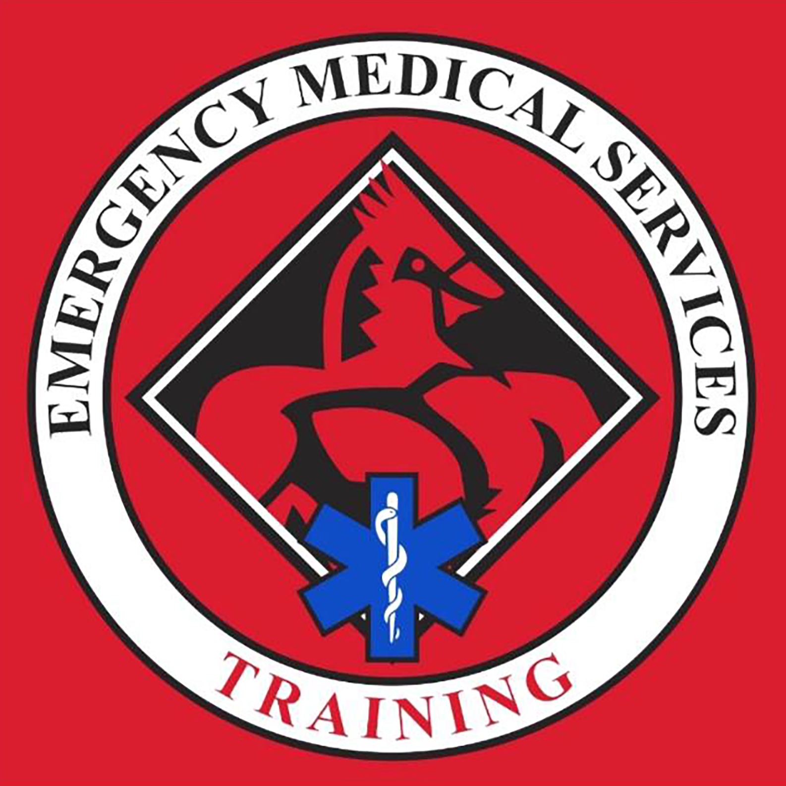 EMT Logo
